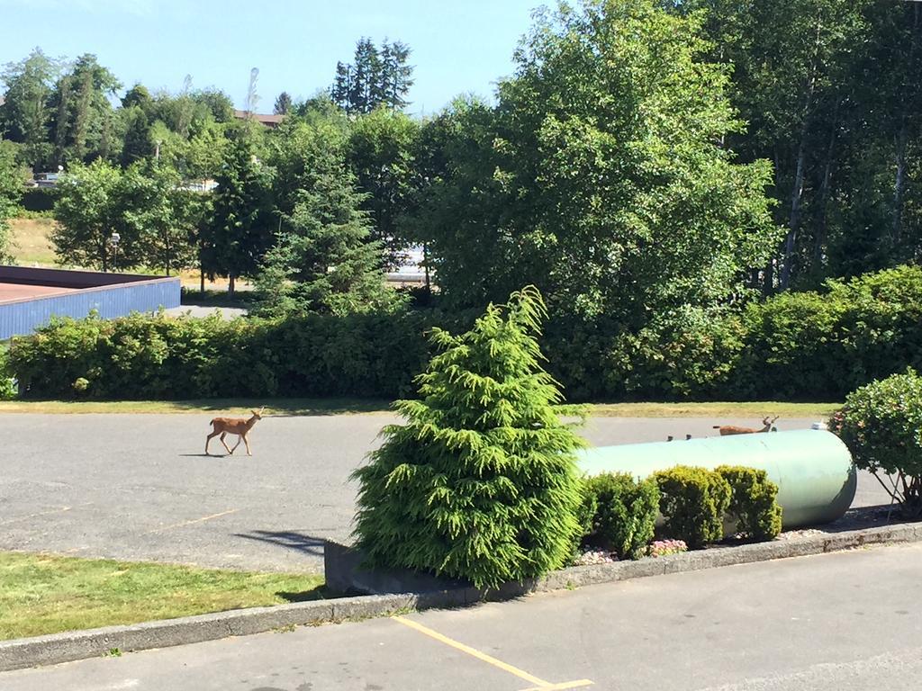 Haida Way Motor Inn Port McNeill Екстериор снимка